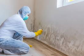 Best Basement Mold Removal  in Benton, IL